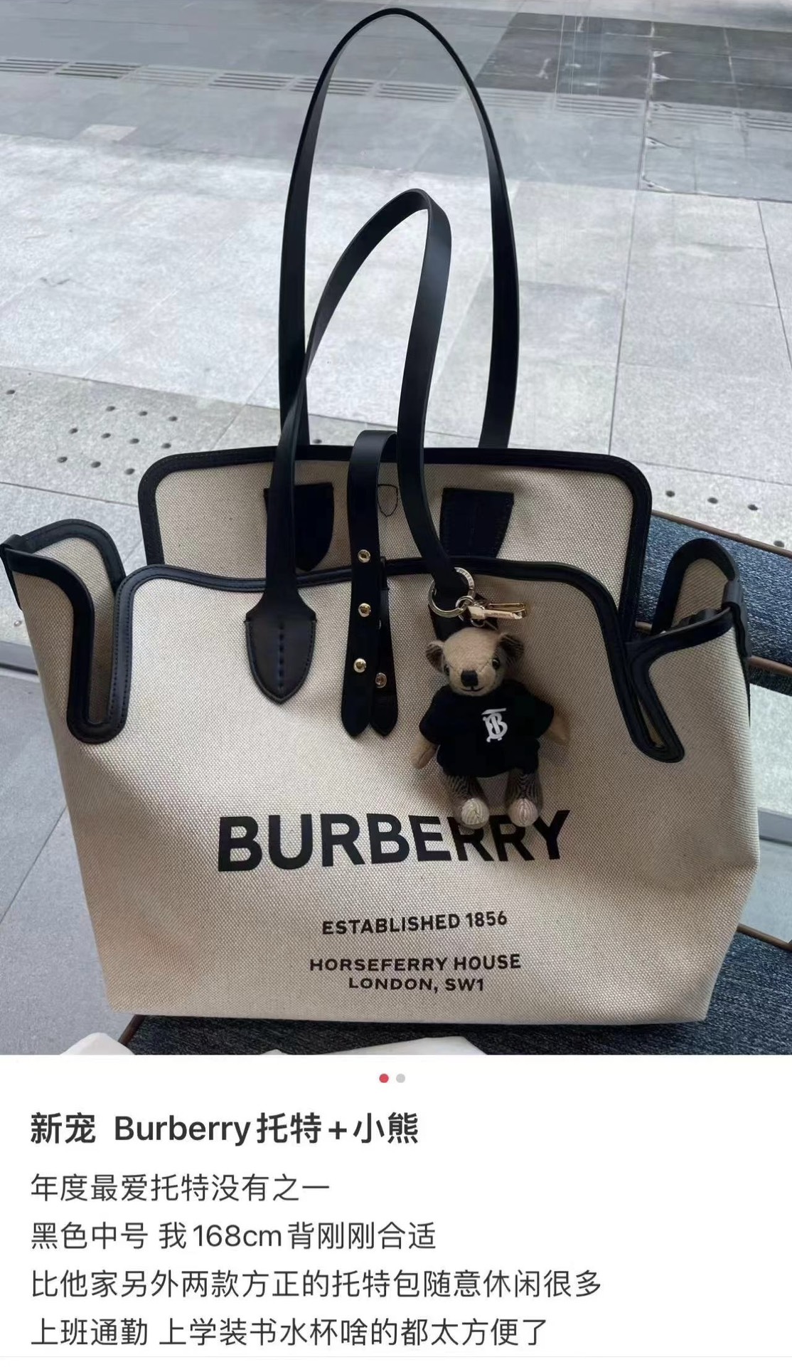 Burberry Shopping Bags